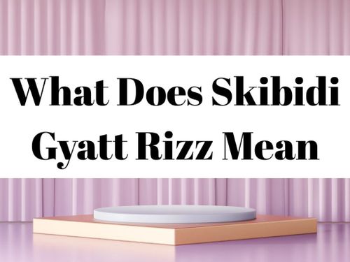 What Does Skibidi Gyatt Rizz Mean
