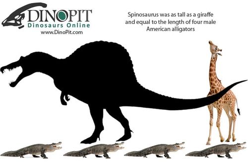 Spinosaurus Size