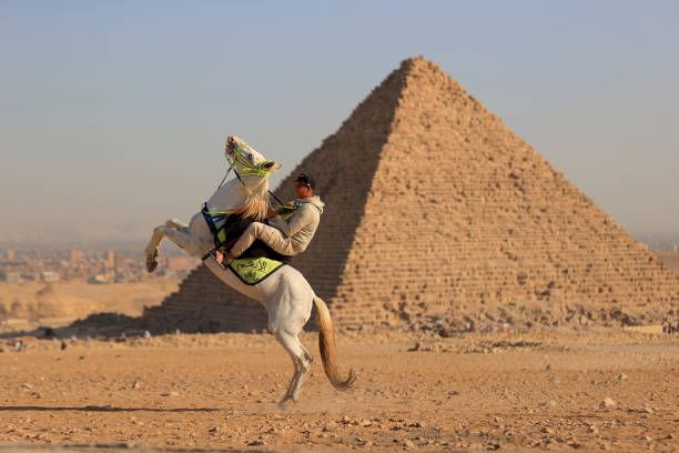 Man is riding a horse near the Giza Pyramids, a UNESCO World Heritage Site and one of the Seven Wonders of the World, in Giza, Egypt on January 01,...