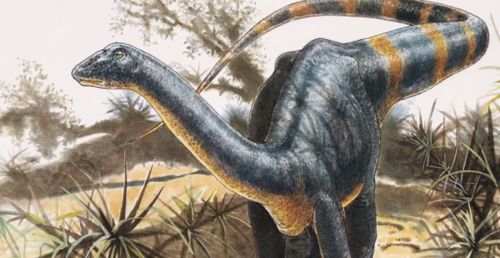 Cute Pet Dinosaur Names