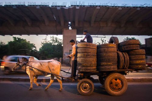 Workers transport tires on a bullock cart in New Delhi, India, on Friday, Sept. 6, 2013. The rupee tumbled 8.1 percent in August, the biggest monthly...