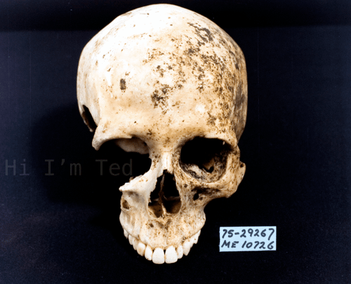 Taylor Mountain Ted Bundy crime scene Washington 1975 skull Brenda Ball