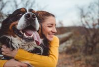 Charles Schwab Increases Its Stake in Chewy Stock. Should You Do the Same? @themotleyfool #stocks $CHWY