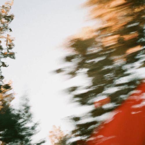 一张模糊的抽象照片，照片中有树木以及浅色的天空。运动效果产生了绿色和棕色的树叶条纹，下角有一丝红色，给画面增添了动感和活力。