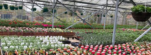 Station Garden Nurseries (Tolkien)