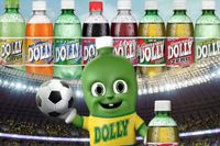 Falência da Dolly: entenda o processo e se a empresa pode reverter