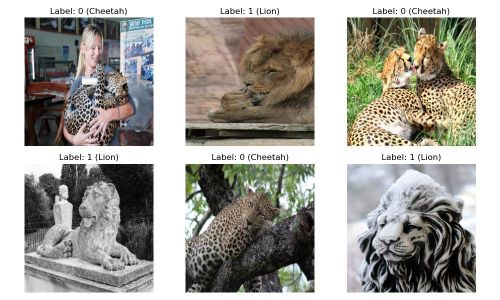 Sample images from the dataset [1].