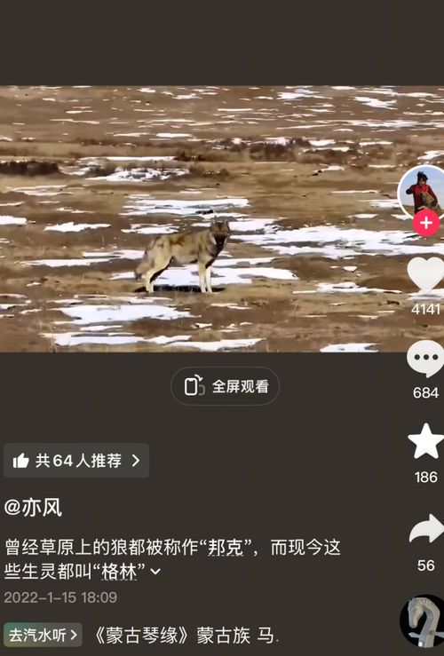 突然翻红！感动全网的狼王“格林”还活着吗？