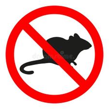 no mice allowed