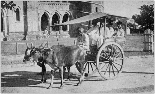 antique black and white photo of travel around the world: indian ox cart - bullock cart india stock illustrations