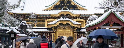 中国游客锐减六成，“新年伊始，情况更加严重”