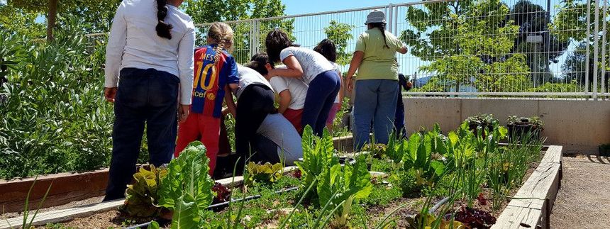 Hort_bancals elevats Fundesplai