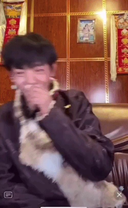 直播中害羞的丁真。直播截图