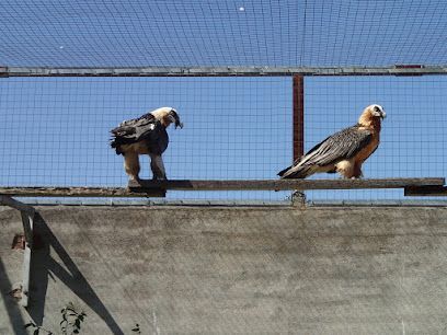 Centro de Recuperación de Fauna Salvaje de Torreferrussa