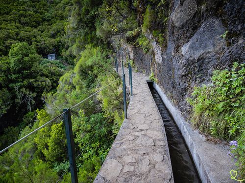 Risco waterfall on the levada trail at Rabacal