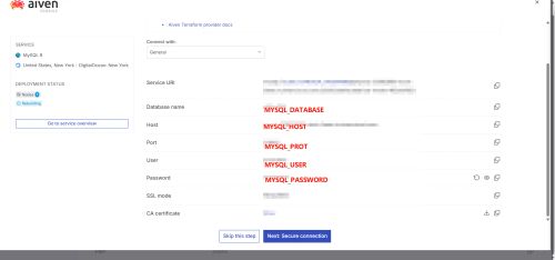 Gemini Balance 部署體驗