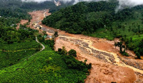 Wayanad disaster: Death toll reaches 402, search for missing 170 continues