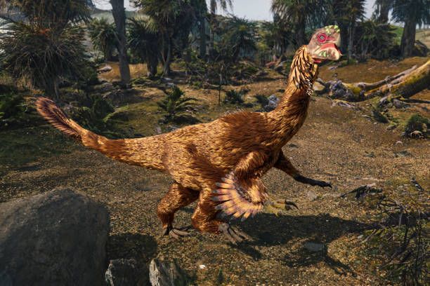 Oviraptor
