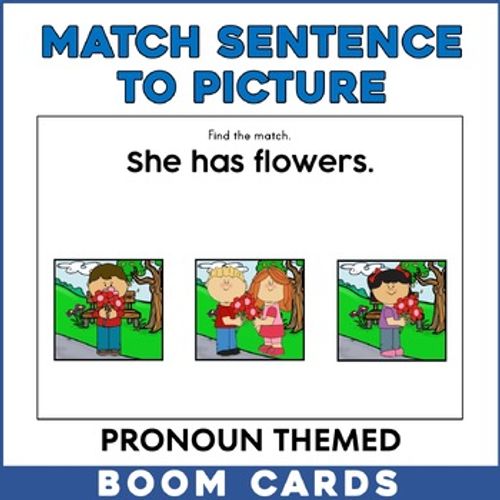 Preview of Match the Pronoun Sentence to Picture: He, She,They | Boom Cards