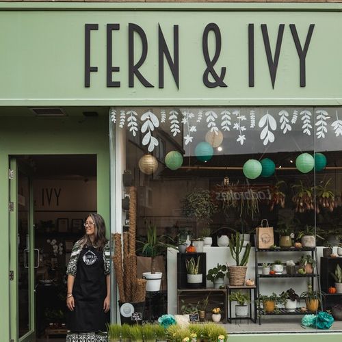Fern & Ivy Plants