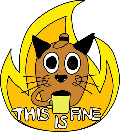This is Meme cat on fire as famous dog with a cup while his house is burning down. Cartoon comic trendy vector illustration. Shocked pet with big eyes. Fire meme vectors