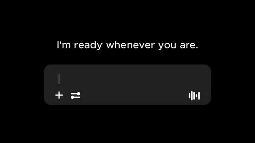 Video animation ask to chat bot unique on alpha channel.