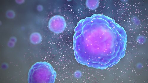 Cytokine - Wikipedia