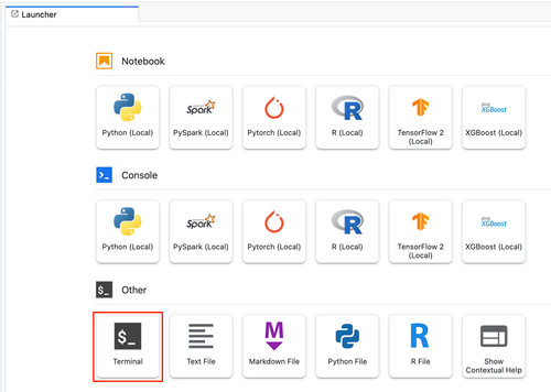 在笔记本中打开终端