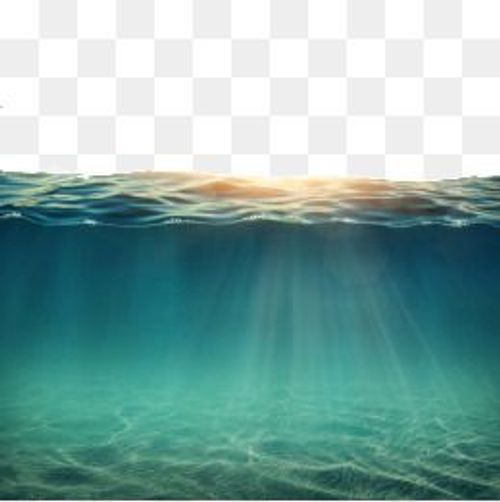 an underwater scene with sunlight shining down on the water and sunbeams in the background