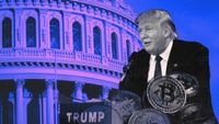 World Liberty Financial crypto project could deepen political divides if Trump wins presidential election: TD Cowen | The Block