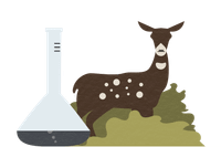 Science, Technology, and Math