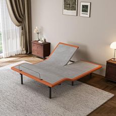 ESHINE Adjustable Bed Frame with Split Top Queen Size Smart Bed with Massage, Top Split, Head & Foot Incline, Wireless Remote, Zero Gravity, Dual USB Ports, Under Bed Light, 3000 Series