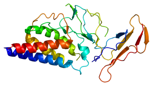 Protein_IL2RA_PDB_1z92.png