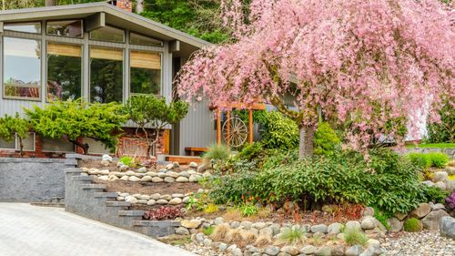 34 No-Grass Landscaping Ideas That Make Your Yard Look Gorgeous (No More Mowing Grass)