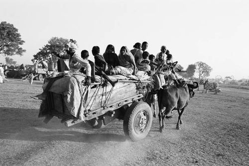 family on bullock cart vautha fair, gujarat, india, asia, 1983 - bullock cart india stock pictures, royalty-free photos & images