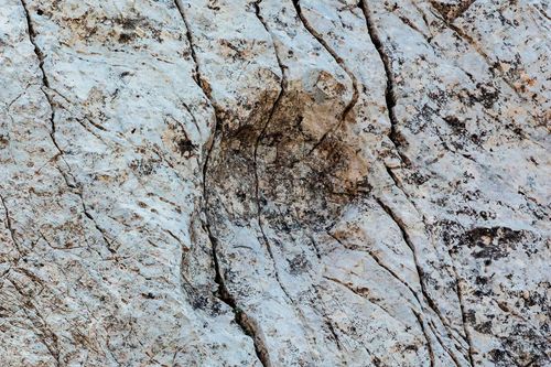 A photographer finds thousands of dinosaur footprints near Italian Winter Olympic venue