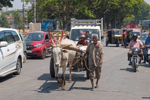 Bullock cart negotiating traffic in an Indian city Mysuru, India - March 3, 2018: A bullock cart making steady progress through the busy streets of central Mysore. Animal drawn vehicles are commonplace amidst motorised transport in many Indian towns and cities bullock cart india stock pictures, royalty-free photos & images