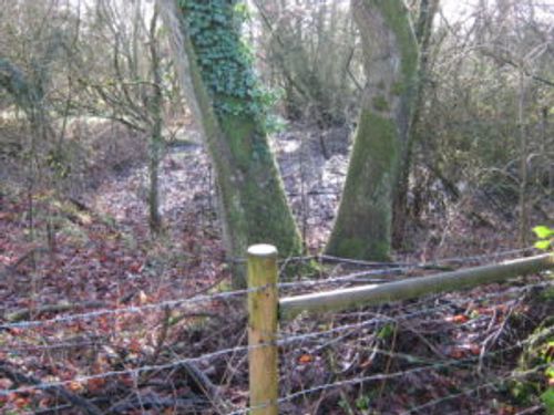 Wootton Bassett Mud Springs