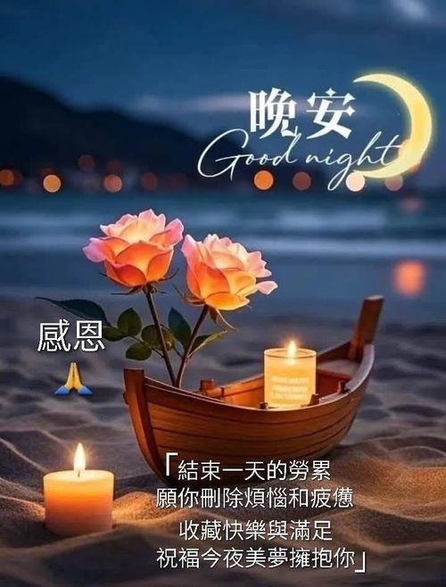 there is a boat with roses in it on the beach and candles lit up next to it