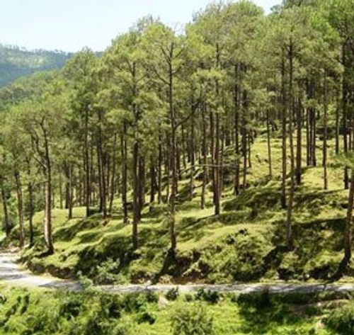 Bhowali