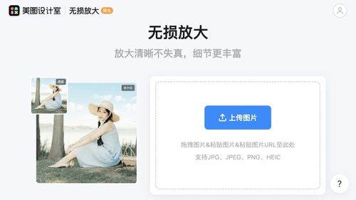 AI图片处理对比——免费的AI图片放大工具和网站测评