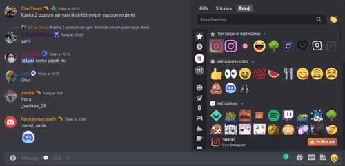 custom instagram discord emojis shown in right hand chat box