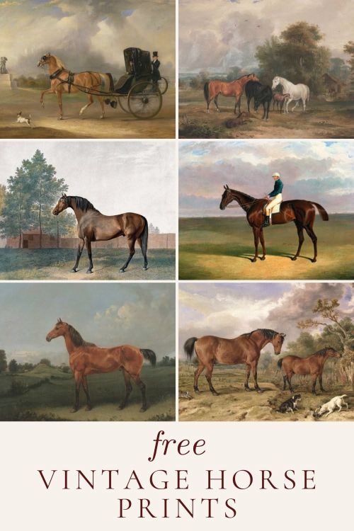 four pictures of horses and carriages with the words free vintage horse prints