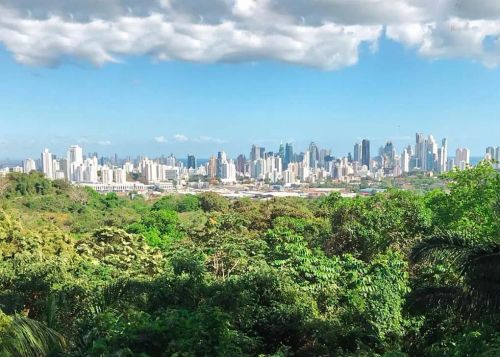 Panama City, Calidonia, Distrito de Panamá, Panamá Province, 0843, Panama
