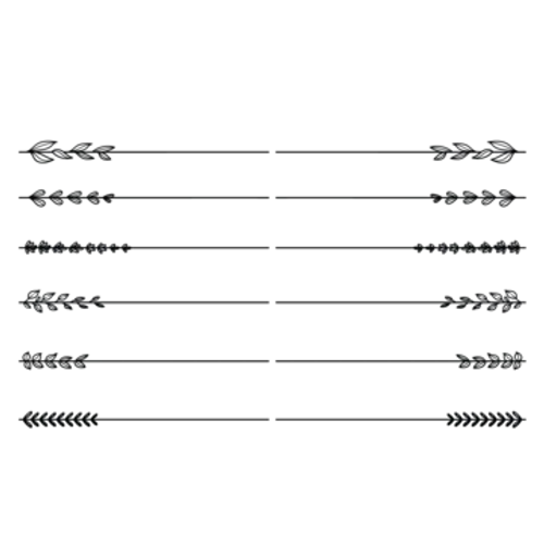 linha divisória de videira floral desenhada à mão para layout de texto  separador de elementos de decoração  coleção de vetores png, Separador, Folhas, Divisores De Linha PNG e Vetor