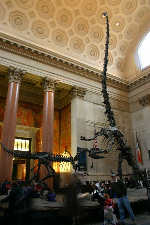 allosaurus and barosaurus