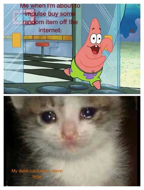 r/memes - Me when I'm about to impulse buy some random item off the internet: My debit card every damn time;
