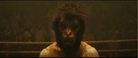Readers recommend: 'Monkey Man' and 'Zero Fucks Given' | The Communist