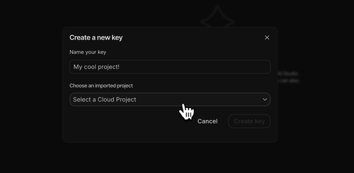 Naming your Gemini API key