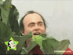 Creepy Guy Behind Plant GIF - CreepyGuy BehindPlant GIFs
